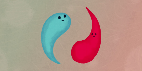 Emotional Intelligence Training